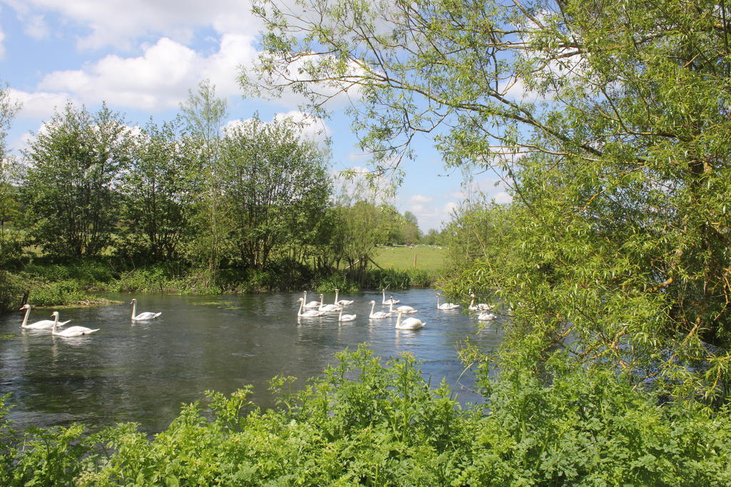 Готель The Swan At Stoford Stapleford  Екстер'єр фото